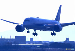 My ColorⅢ✈787Dreamliner