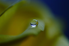 想い玉・雫（Ⅵ）