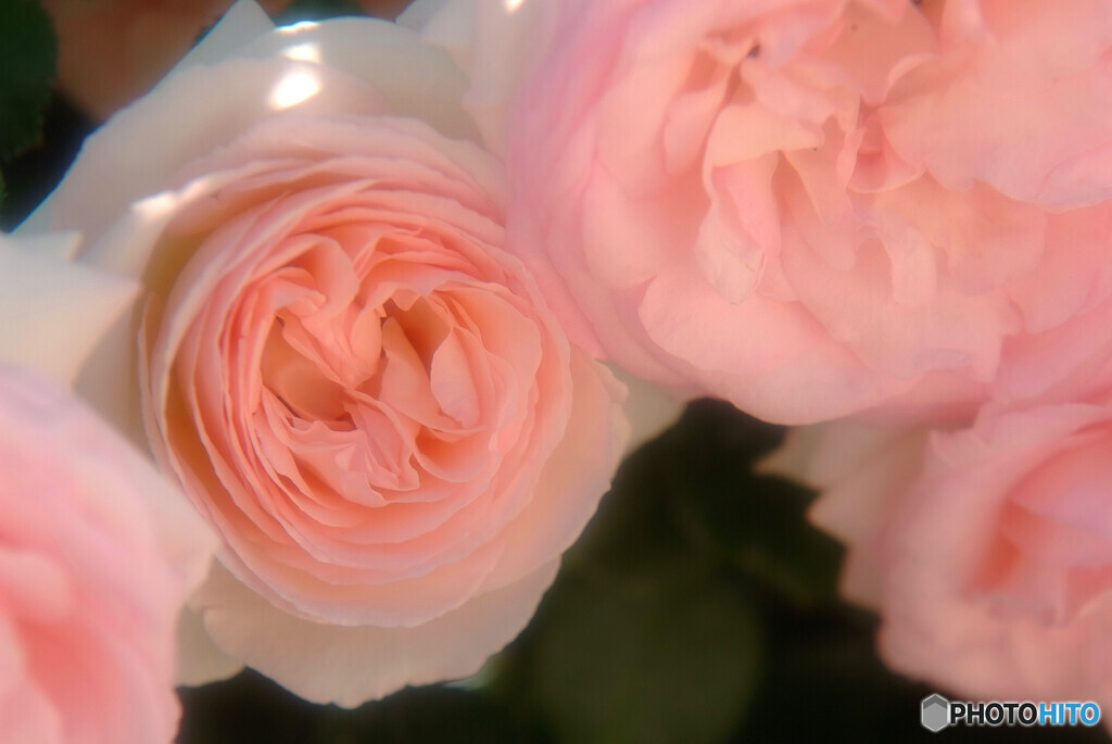 Endless Story ・詩