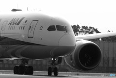 新しい世界へ・787