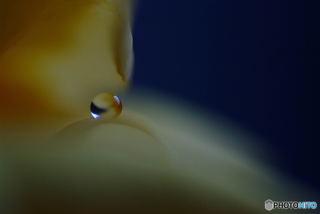 祈り❁睦月の瞳