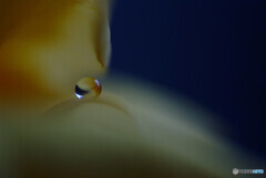 祈り❁睦月の瞳