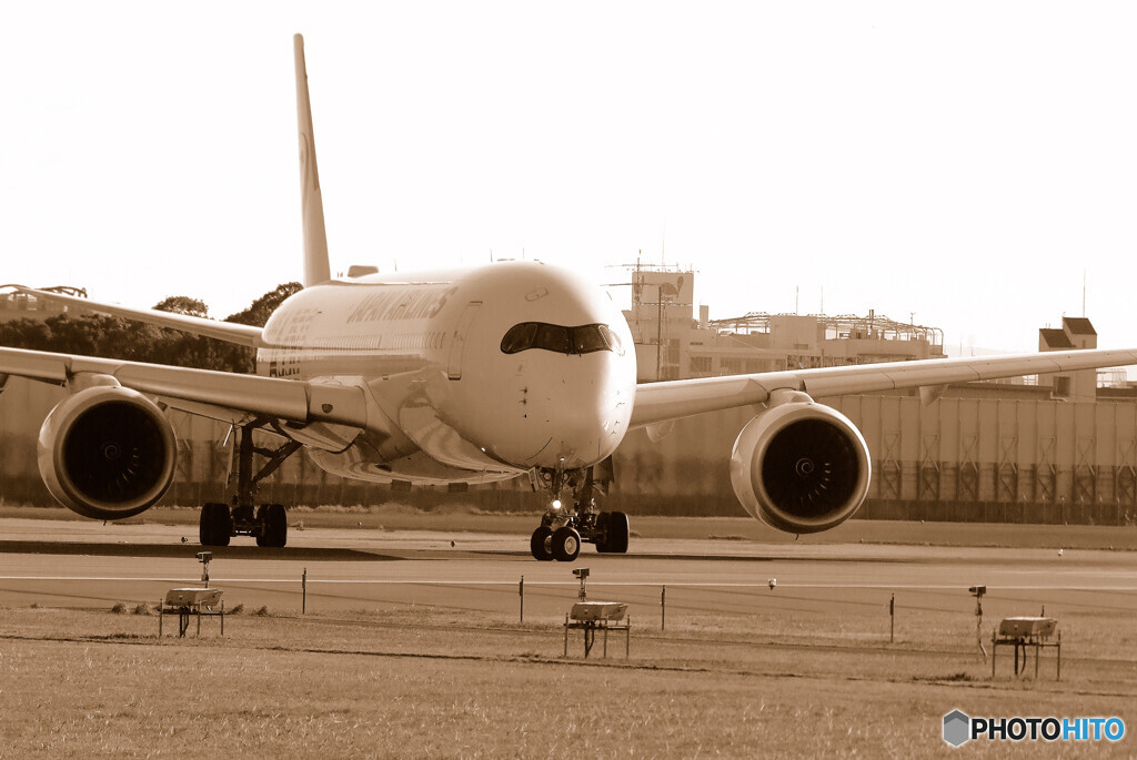 PRIDE JAPAN✈JA02XJ