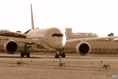 PRIDE JAPAN✈JA02XJ