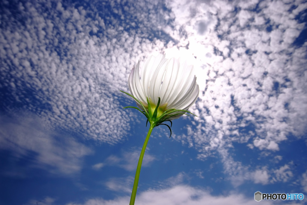 秋空に誘われて