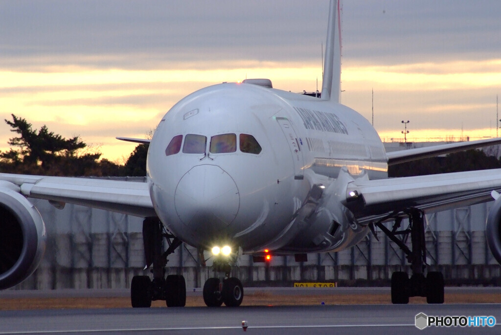 JAPANの朝Ⅳ✈Boeing 787-8