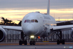 JAPANの朝Ⅳ✈Boeing 787-8