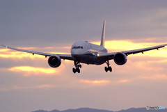 朝焼けのSTAR☆787