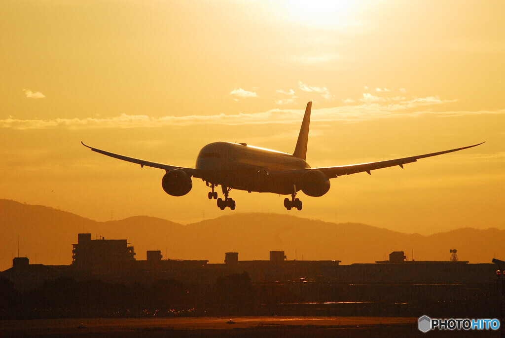 Morning of the 31th✈787-9Dreamliner 