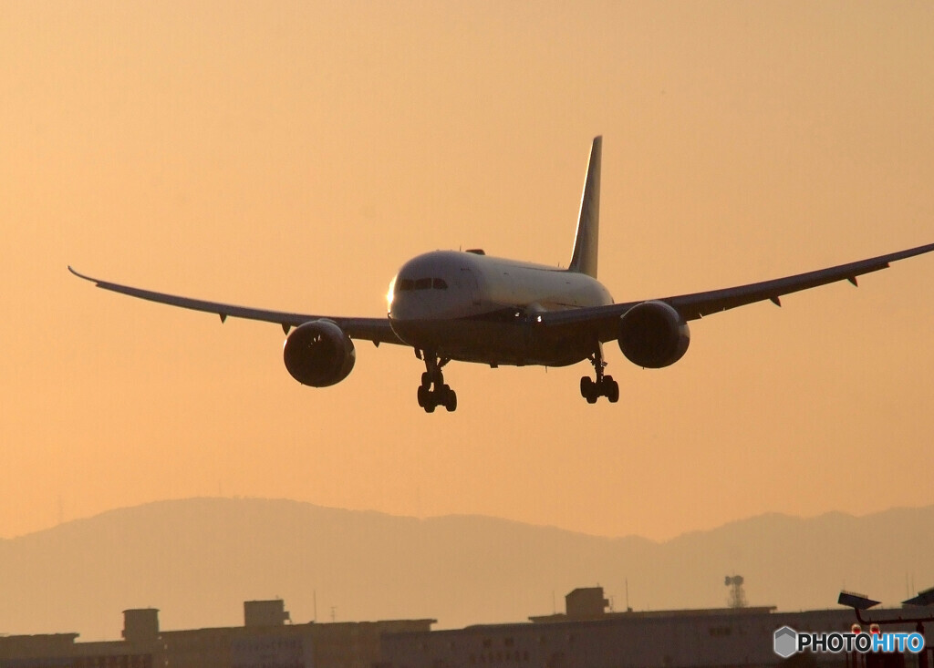 My ColorⅡ✈787Dreamliner