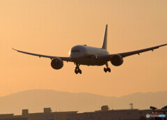 My ColorⅡ✈787Dreamliner