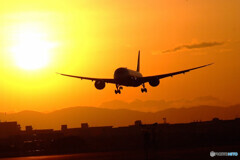 翼を信じて✈Dreamliner