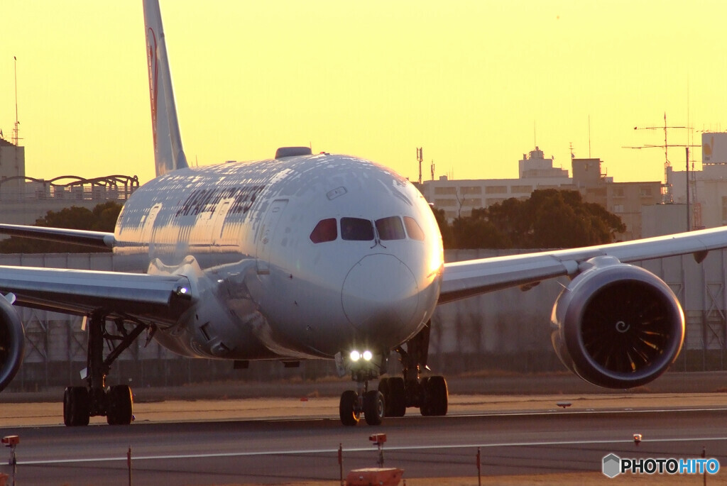 January Sunrise2022✈787-8 Dreamliner