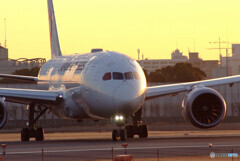 January Sunrise2022✈787-8 Dreamliner