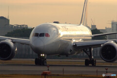 November Morning✈Boeing787-8