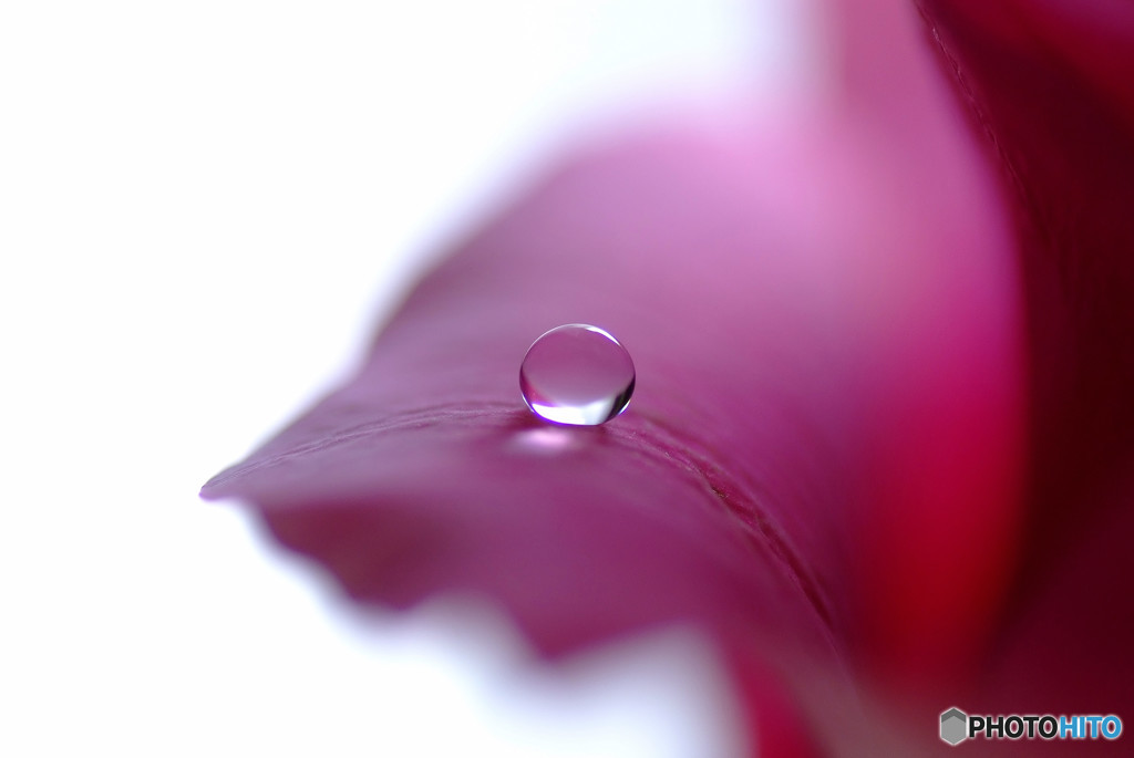 素直なままに・雫