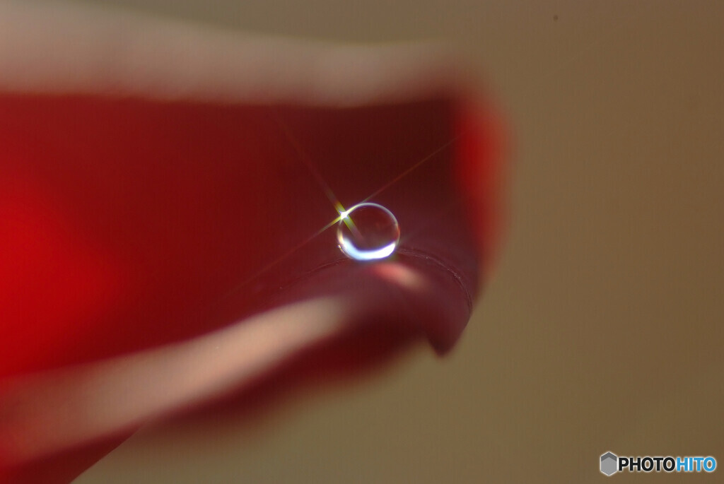 出会い✿心静かに