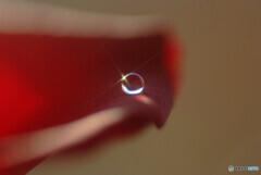 出会い✿心静かに