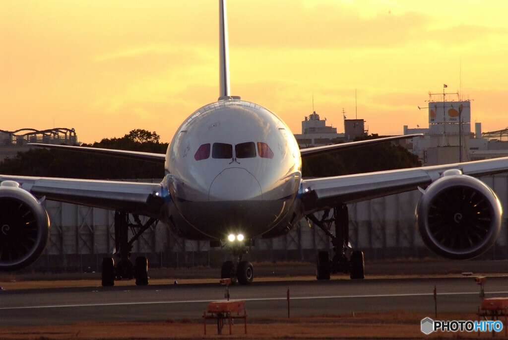 January TravelerⅥ★Boeing787-9