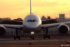 January TravelerⅥ★Boeing787-9