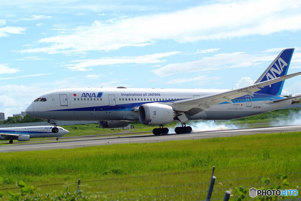 HARADAの空✈787-8 Dreamliner