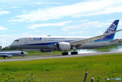 HARADAの空✈787-8 Dreamliner