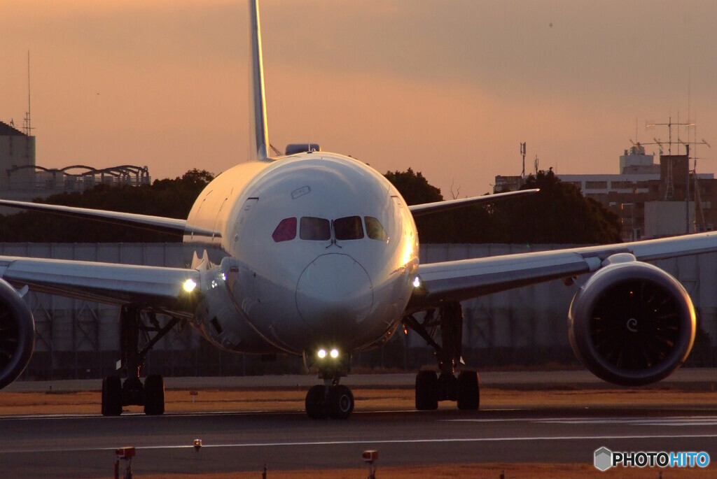 SKYLANDの彩✈Boeing787-8