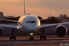 SKYLANDの彩✈Boeing787-8