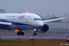 November Rain✈HARADA