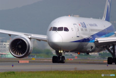 皐月の空へ・787