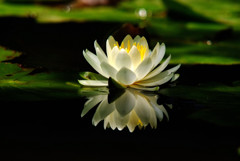 炎陽・睡