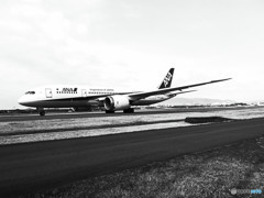 俺たちの旅・787