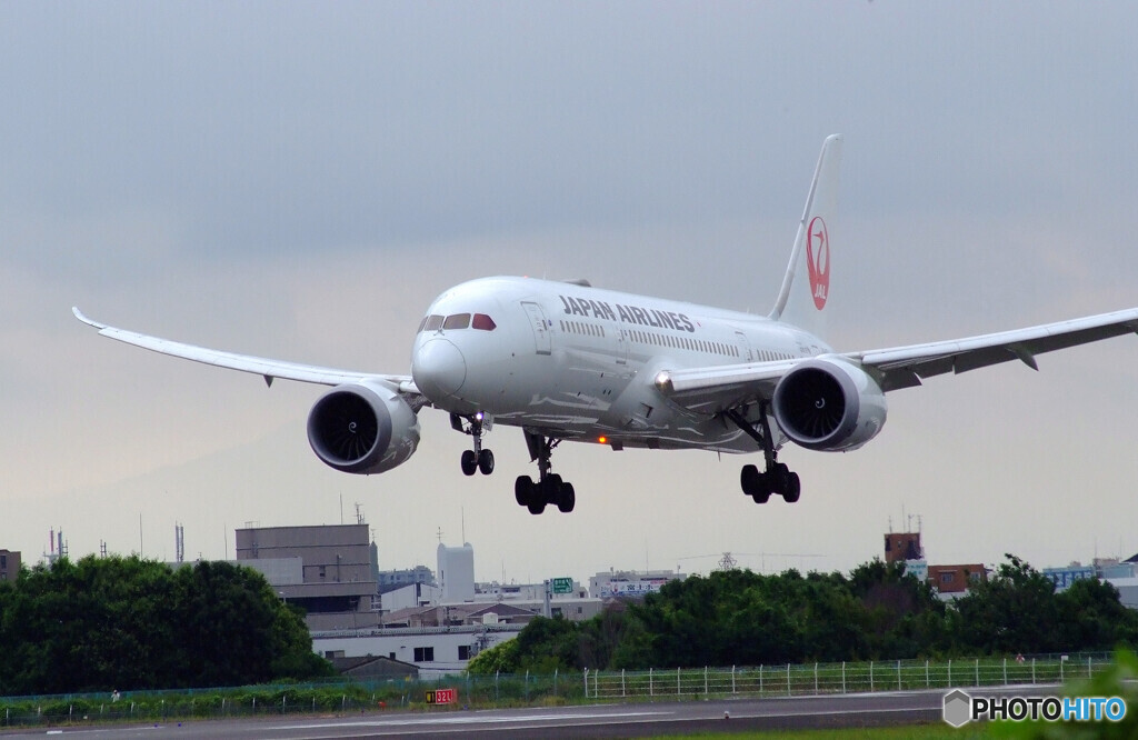 水無月の空✈787-8 Dreamliner
