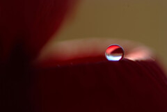 想い玉♩睦月の雫