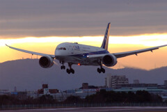 JAPANの朝✈Boeing 787-8