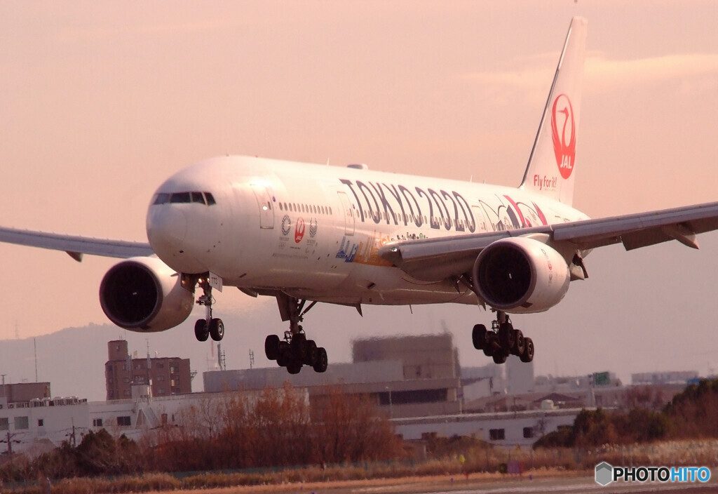 January Wings✈2020JET