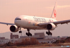 January Wings✈2020JET