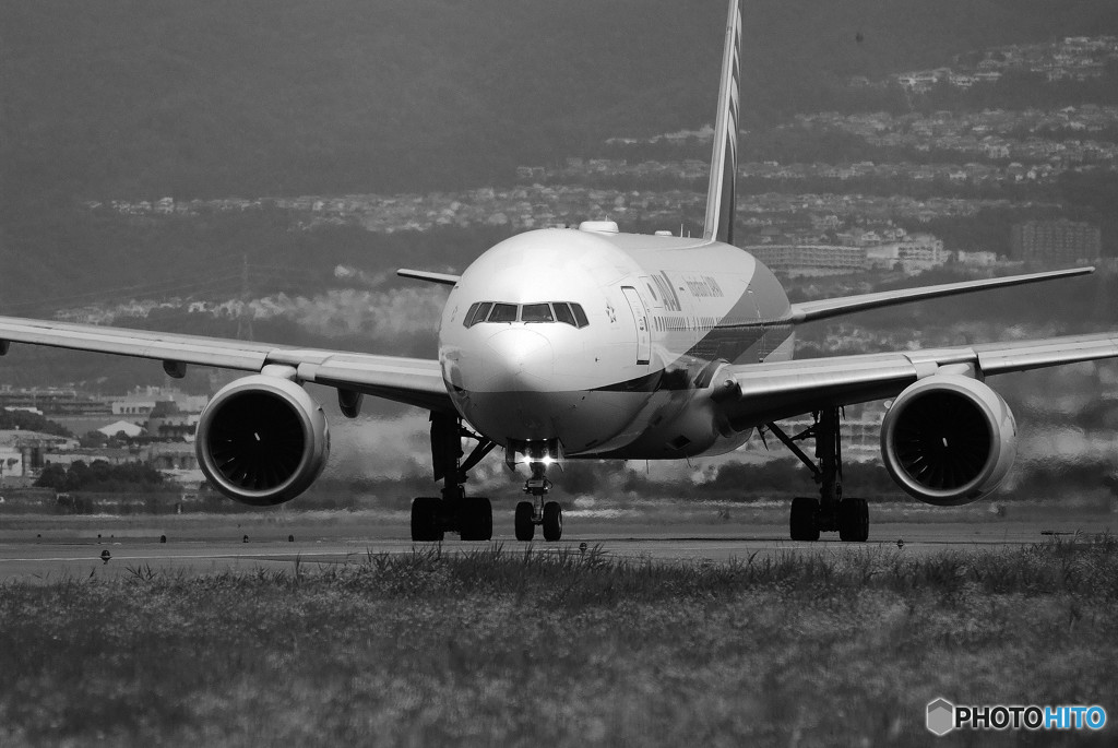 Morning Bird・JA716A