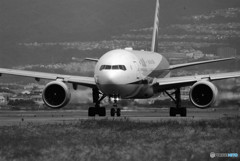 Morning Bird・JA716A