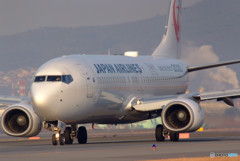 December light・Ⅳ