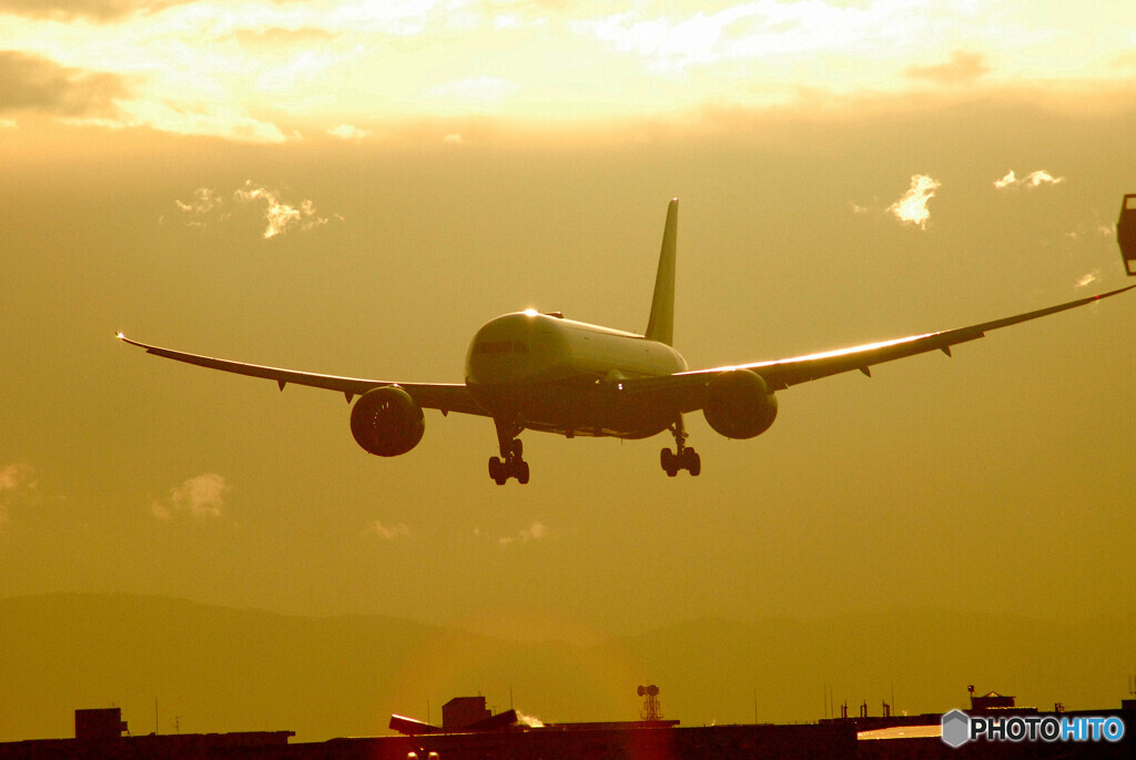 Beautiful MemoriesⅣ✈Boeing 787-8