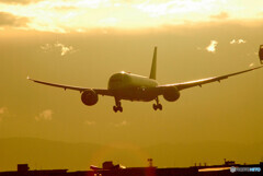 Beautiful MemoriesⅣ✈Boeing 787-8