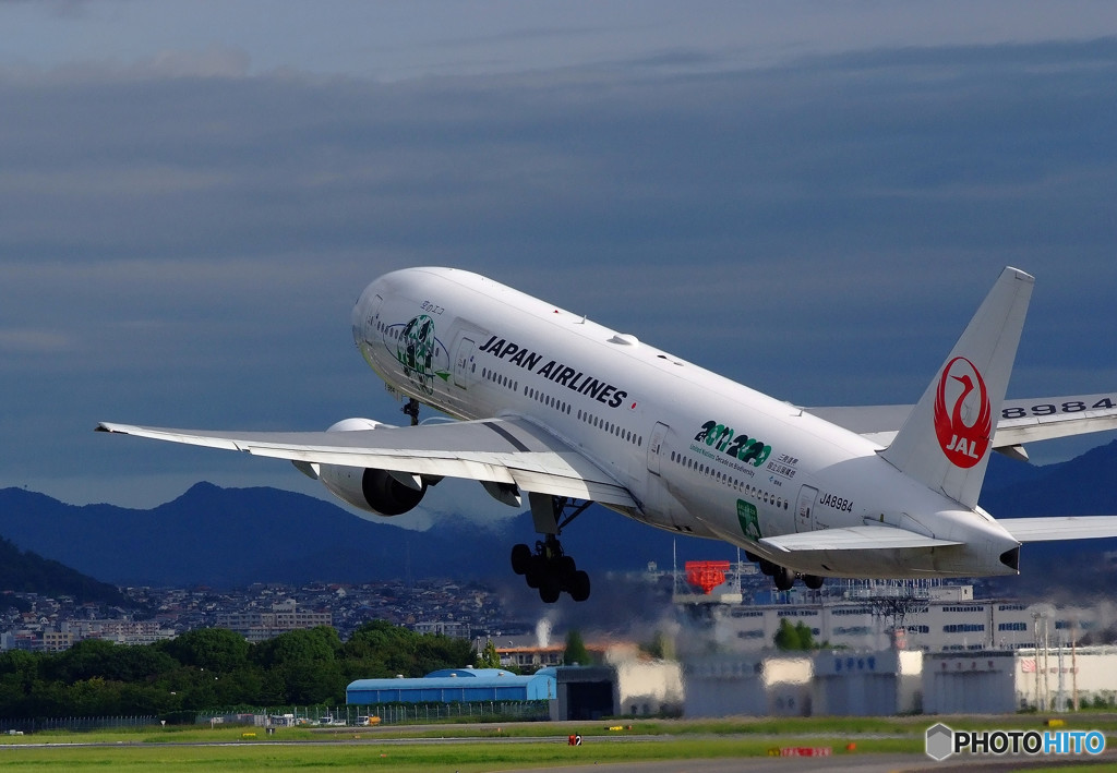 JAL Eco Jet “Nature”