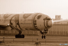 January 5✈BB-8
