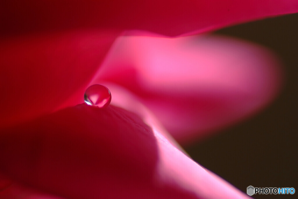 恋する惑星✿やすらぎの時