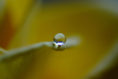 如月の惑星・雫（Ⅵ）