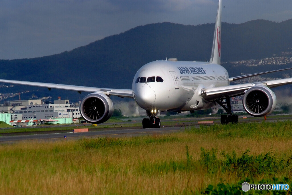 Autumn wings✈Dreamliner787