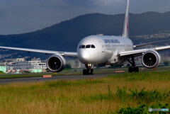 Autumn wings✈Dreamliner787