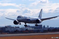 風を感じて・787