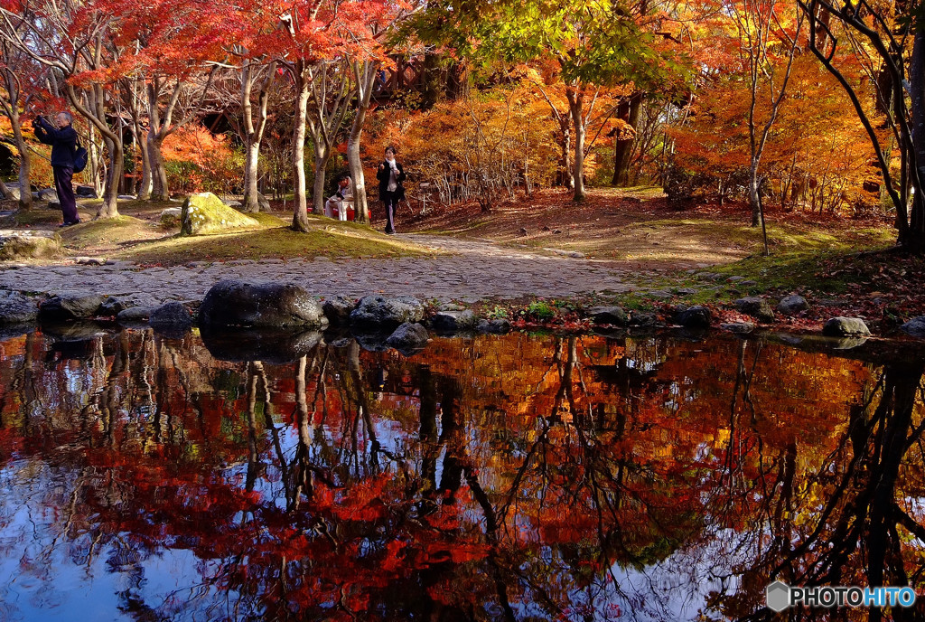 紅葉散歩・秋